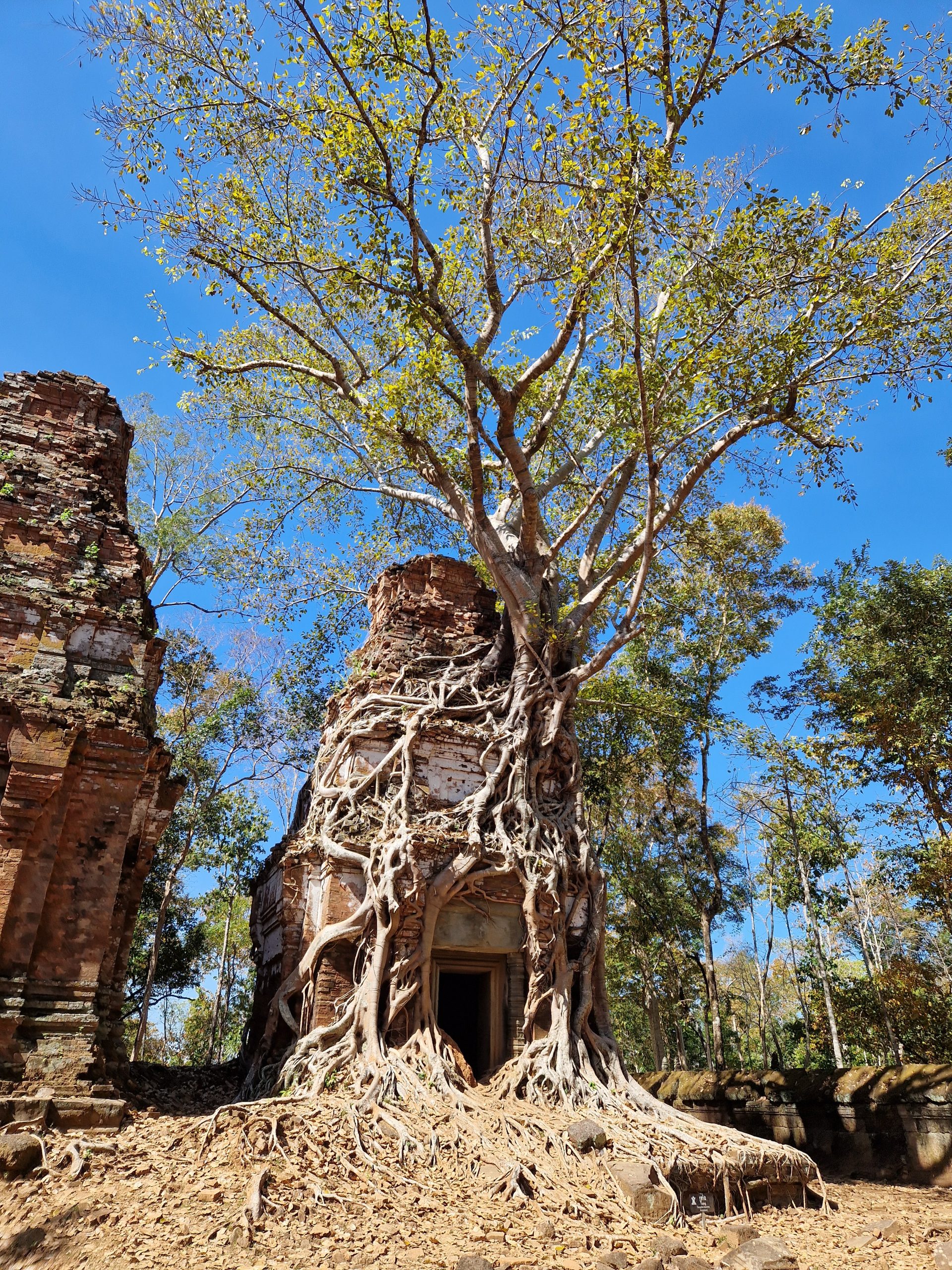 Kambodża: co robić w Siem Reap? Angkor Wat i co dalej?